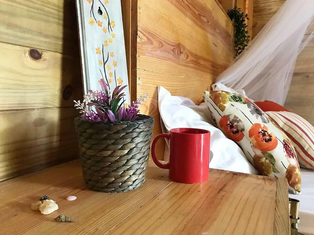 Hostel Samana Ecolodge El Limon