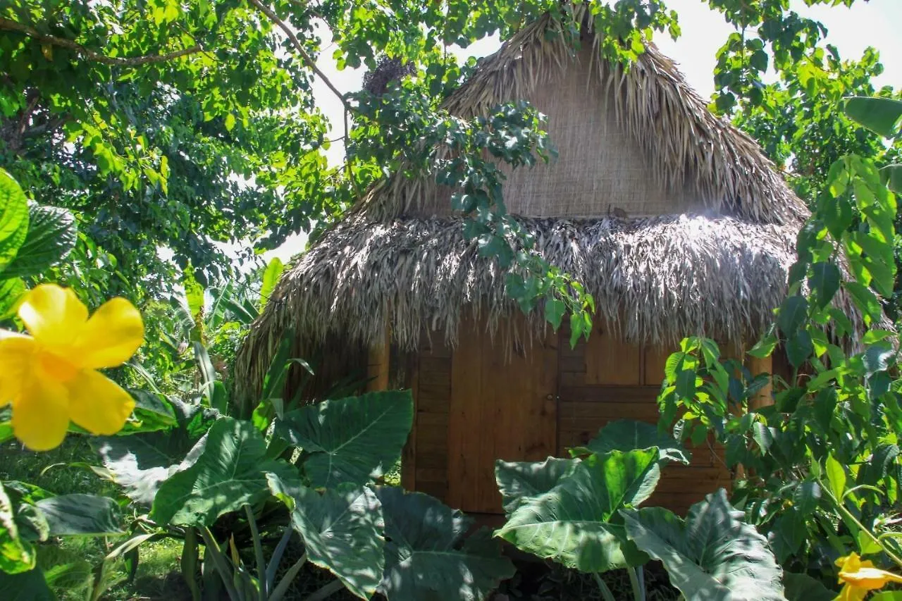 Samana Ecolodge El Limon Δομινικανή Δημοκρατία