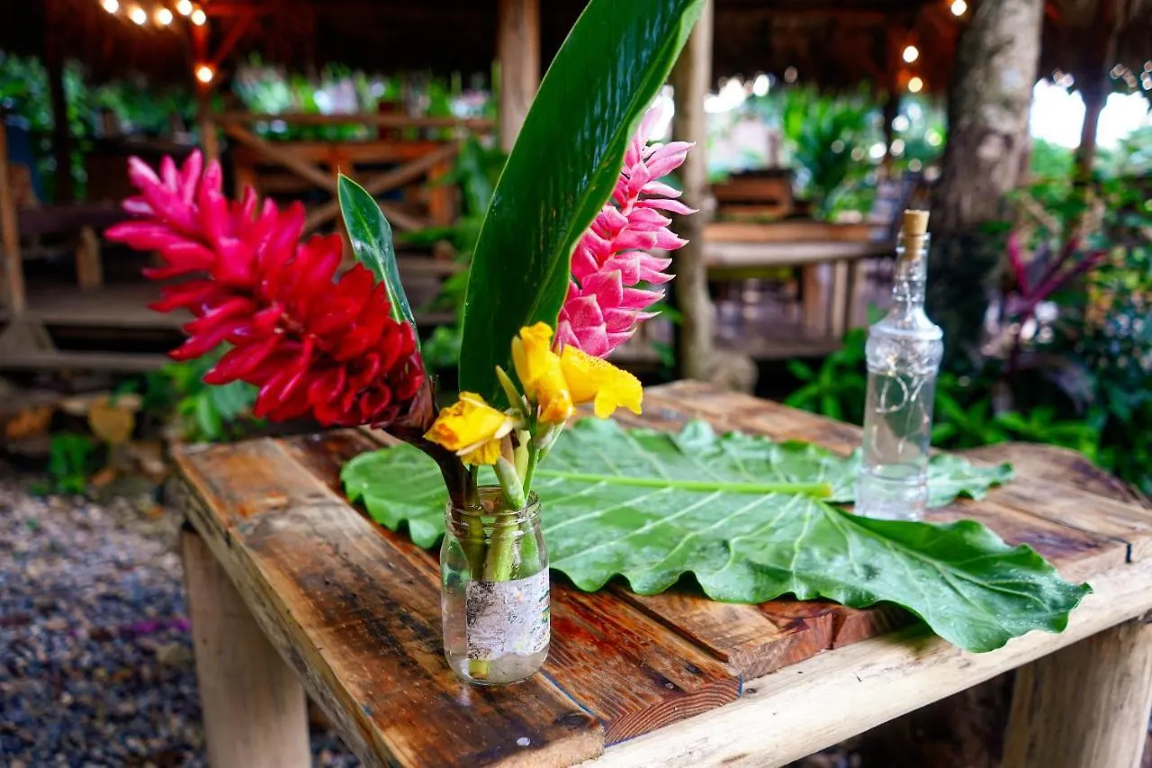 Samana Ecolodge El Limon